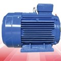 ĐỘNG CƠ ĐIỆN MARELLIMOTORI BAA 160 L2 18.5KW