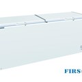 Tủ đông nằm 2 nắp đỡ Firscool G-BD-1220