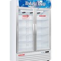 Tủ mát 2 cánh kính Darling DL-7000A