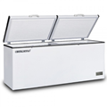 Tủ đông nằm Berjaya BJY-CFSD700A