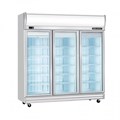 Tủ đông 3 cánh kính Berjaya 3D/DF-SM-EV
