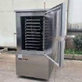 Tủ cấp đông nhanh âm 45 độ 300L