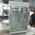 TỦ MÁT 2 CÁNH KÍNH (1000L) RS-S2003