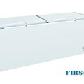Tủ đông nằm Firscool G-BD-768A