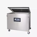 Máy đóng gói chân không buồng đơn DZ-900/2L