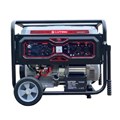 Máy Phát Điện 5Kw Chạy Xăng Lutian LT6500EN-9