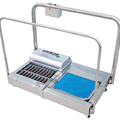 Máy vệ sinh đế giày tự động Daeshin DS-313DX