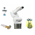 Robot phun sơn công nghiệp KUKA KR 4 R600