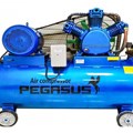 Máy nén khí Pegasus TM-W-2.0/12.5-330L (20HP – 330L)