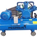 MÁY NÉN KHÍ PEGASUS TM-W-2.0/8-330L – CÔNG SUẤT 20HP, BÌNH 330L CHO GARA VÀ NHÀ XƯỞNG