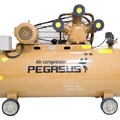 Máy nén khí Pegasus TM-W-0.67/8-500L – 7.5HP, bình 500L, máy nén khí công nghiệp bền bỉ