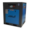 Máy nén khí trục vít Pegasus TMPM30A – 30HP, áp lực 12 Bar