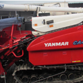 Máy gặt đập liên hợp Yanmar Ca455