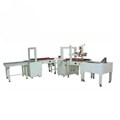 Dây chuyền dán thùng carton có đóng đai 2 lần MK-APLCSS03
