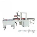 Dây chuyền dán thùng carton có đóng đai 1 lần MK-APLCSS02