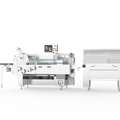 Máy Đóng Gói Dạng Nằm Ngang DW-2003G