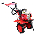 Máy Xới Đất Chạy Xăng 7HP Oshima XDX-C (Curoa)