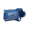 Máy Bơm Nước Chân Không Lead 1000W MJSW/3CL