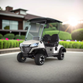 Xe điện chơi Golf LGS021 