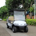 Xe điện chơi Golf LQS040A 