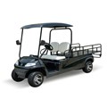 Xe điện chở hàng 2 chỗ LVTONG LT-A627.2.H8
