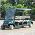 Xe điện chơi golf LQY065 