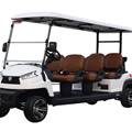 Xe golf đa dụng 6 chỗ ngồi R6