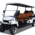 Xe golf chạy điện 8 chỗ R6C