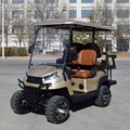 Xe golf đa dụng 4 chỗ ngồi R2C màu vàng 