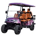 Xe golf 6 chỗ ngồi K4C màu hồng, hàng mới về 