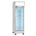 Tủ đông 1 cánh kính Berjaya 1D/DF-SM-EV