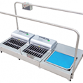 Máy vệ sinh đế giày tự động DS-413DX