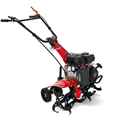 Máy xới đất chạy xăng Rato Italian Power RG1.6-56Q-Z