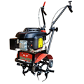 Máy xới đất chạy xăng Benassi BL 20