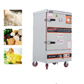 Tủ nấu cơm 10 khay dùng gas OKASU NS-THVNG10K304 
