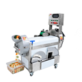 Máy thái rau củ quả đa năng OKASU MG-607