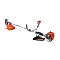 Máy cắt cỏ Rotary 43RTS