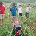 Máy Lên Luống Mitsubishi MS655