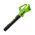 Máy thổi lá Pin 24V - BL24B02