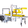 Máy đóng gói và niêm phong thùng carton tích hợp LT-FJ-3EA-101A