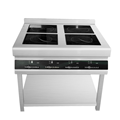 Bếp từ thương mại Lestov LT-B300II+DTL300II