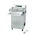 Máy hút chân không DZ-600W