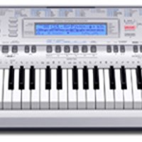 Đàn Organ Casio WK-210