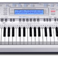 Đàn Organ Casio WK-210