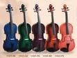 Đàn Pearl River Violin V005