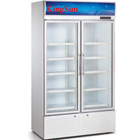 Tủ mát 2 cánh mở Kingsun LGF-860