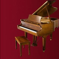 Đàn Piano Brandnew Essex EGP-161C