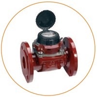 Đồng hồ đo lưu lượng SENSUS DN50