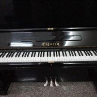 Đàn Piano Elgaton U1H