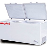 Tủ đông Kingsun KS-BD/C-400D